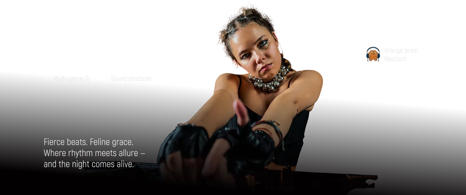 DJ Mary Cat banner